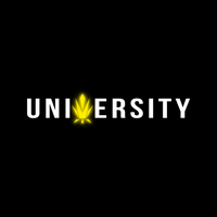 trapuniversity71