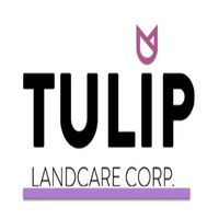 tuliplandcare