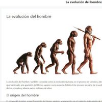 evolucionhombre