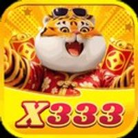 x333