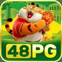 48pg